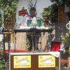 hopfenfest10_20110912_1950528024