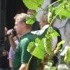 hopfenfest7_20110904_2087167517