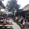 Maibaumumschneiden 