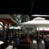 weinstrassenfest2_20160917_1141403664