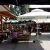 weinstrassenfest3_20160917_1100568427